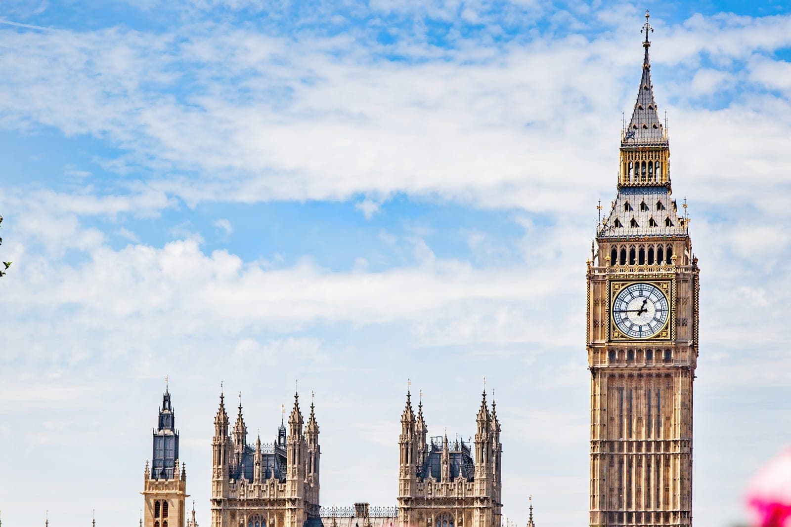 Big Ben and the Houses of Parliament framed by pink roses